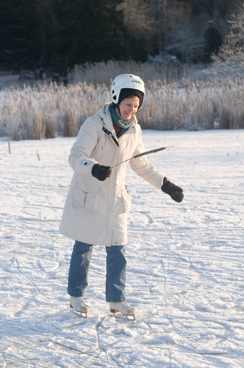 Allra sista bilden 2008